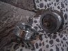 DSC05695.JPG