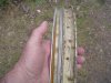 DSC05707.JPG