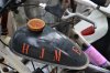 DSC_5534-watermarked.jpg