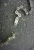 20130712_145854.jpg