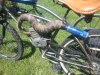 20130716_110639.jpg