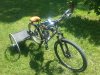 20130716_110614.jpg