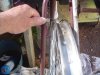 DSC05755.JPG