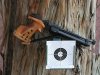 Pistol4.JPG