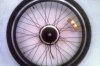 IMAG0550low.jpg