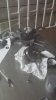 20130808_202831.jpg