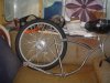 DSC05842.JPG