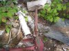 DSC05851.JPG
