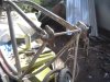 DSC05853.JPG