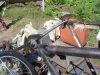 DSC05855.JPG
