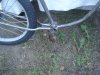 DSC05859.JPG