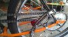 IMAG0247.jpg