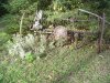 DSC05921.JPG