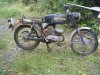 DSC05916.JPG