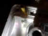 IMG_20131003_032736.jpg