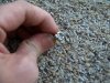 100_4784.JPG