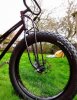 fat tire.jpg