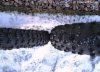 tire.jpg