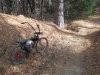 IMG_5508.JPG