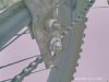 emergency chain tensioner 01.jpg