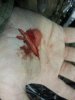 scraped hand after mbike spill 20131216.jpg