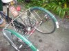 HerculesTricycle2014-4.jpg