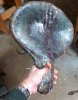 seat finished pan.jpg