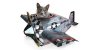 sk-cardcatplay2.jpg