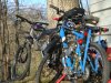 DSC02320.JPG