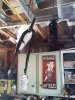 20140402_114142.jpg