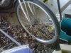 IMG00061-20140206-1900.jpg