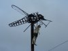03-42 -  Ontario - Art imitates life in Upsala 2.jpg