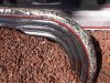 Chain guard cleaned with clear.jpg