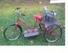 3wheeledbike1.jpg