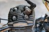 Motor__0039.jpg