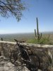 Mt. Lemmon 3-25-15 (8).JPG