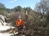 Mt. Lemmon 3-25-15 (18).JPG