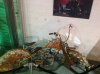 rsz_img_1521.jpg