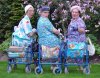 rollator for seniors.jpgrew.jpg