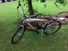 20150509_161609.jpg