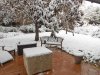 Snow, May 2015, 1.jpg