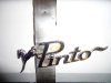 Pinto.jpg