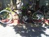 MODDED LOWRIDER 66cc RSE HEAD (1).jpg