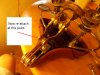 DSCN0529.JPG
