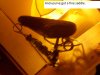 DSCN0534.JPG