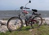 pirate bike.jpg
