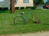 Riding Lawn Mower.jpg