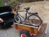 DSC01790-1.jpg