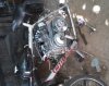 20150530_1240102.jpg