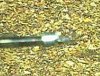 P10-23-15_13.17.jpg